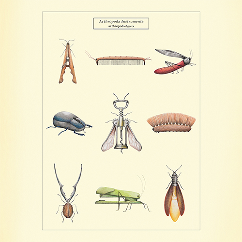 "Arthropoda Instrumenta"