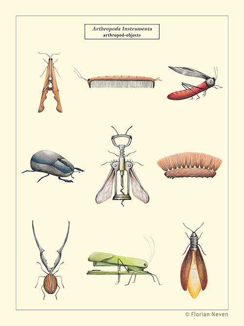 "Arthropoda Instrumenta" (Arthropodes-objets)