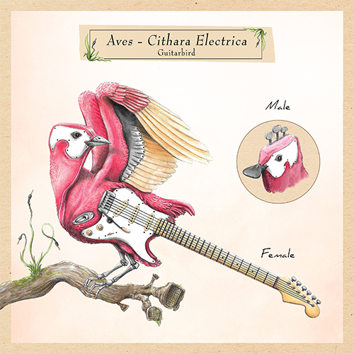 "Aves-Cithara Electrica"