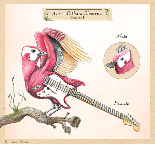 "Aves-Cithara Electrica" (Oiseau-guitare)