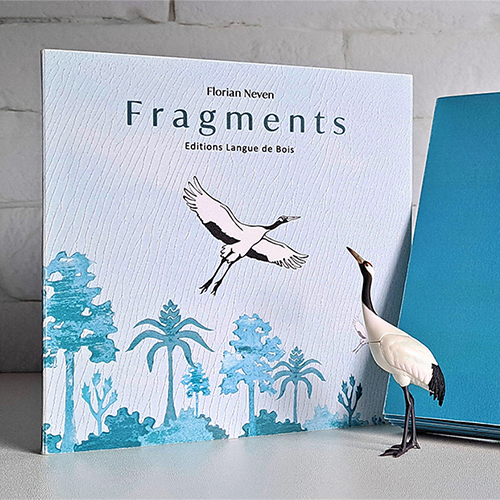 "Fragments"